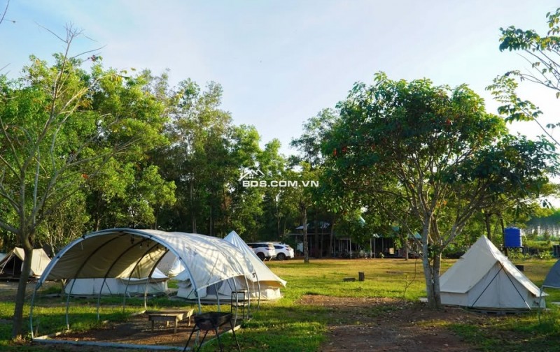Đất Đẹp La Ngà – Sổ Riêng, View Chill, Đường Ô Tô – Chính Chủ Sang Nhượng